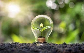The image shows a plant on top of some coins, growing inside of a lightbulb.