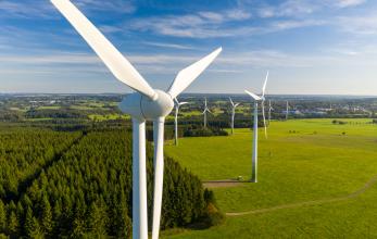 A wind farm generating renewable energy.