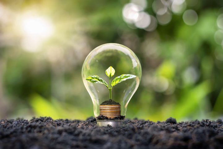 A small plant grows from a stack of coins inside a glass light bulb, placed on soil with a blurred green natural background and sunlight.